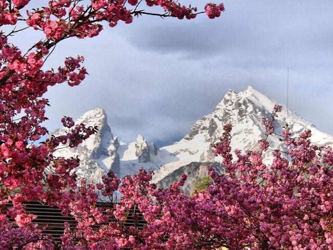 Alpine Impressionen